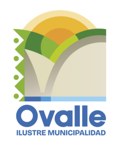 logo imo 2025 1 252x300